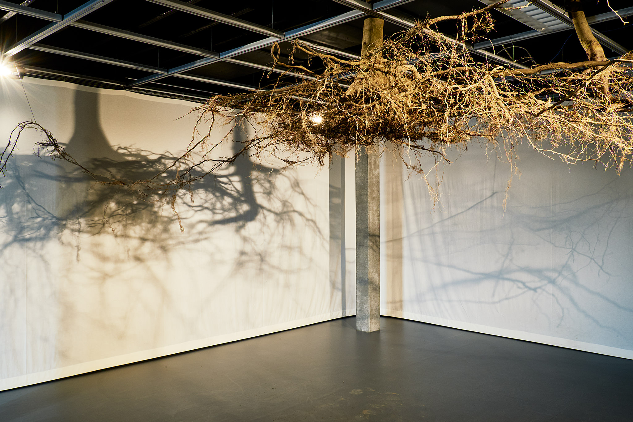 LIVE MATTER - Design Vegetal